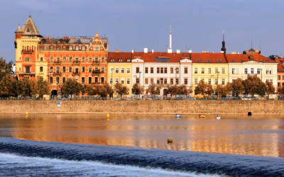 Jak moduł umawiania wizyt online w Portalu dentystycznym skraca czas obsługi pacjentów i zwiększa konwersję